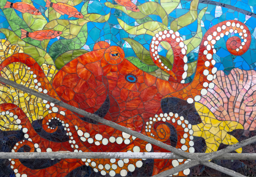 Octopus Scaffolding.jpg