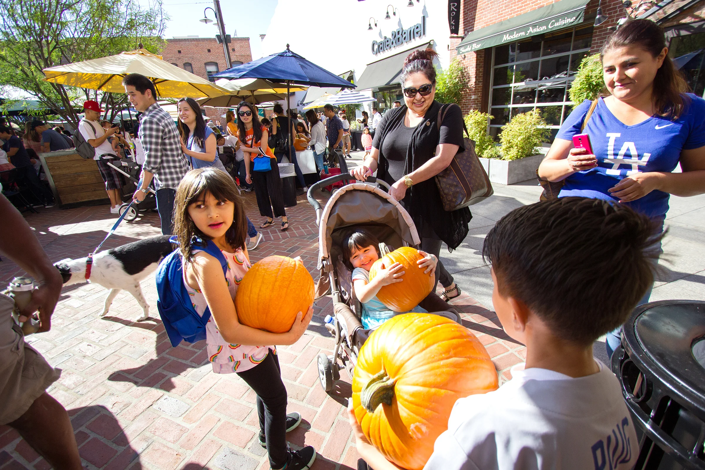 pumpkin-02.jpg