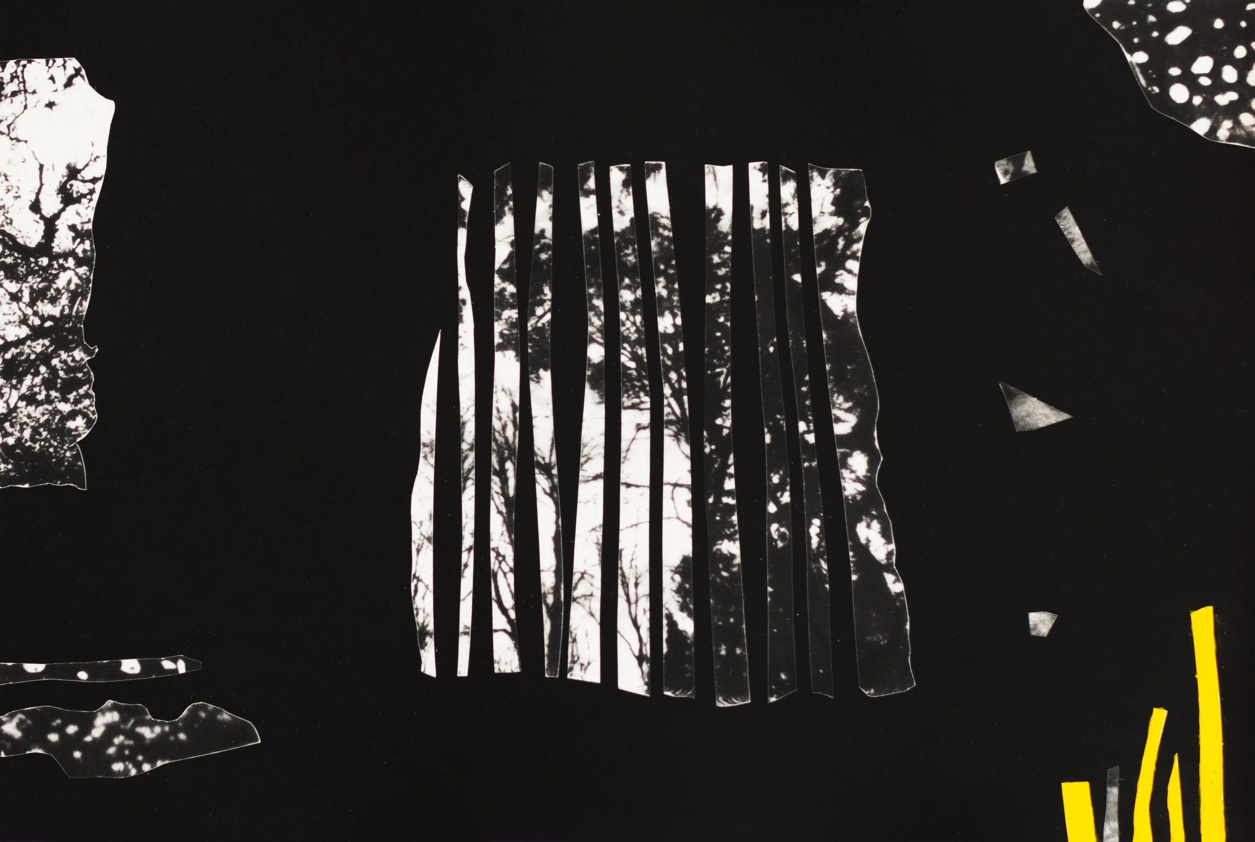 Origin no. 5
Gelatin silver print and photo oils on fiber paper
7" x 5"
2025