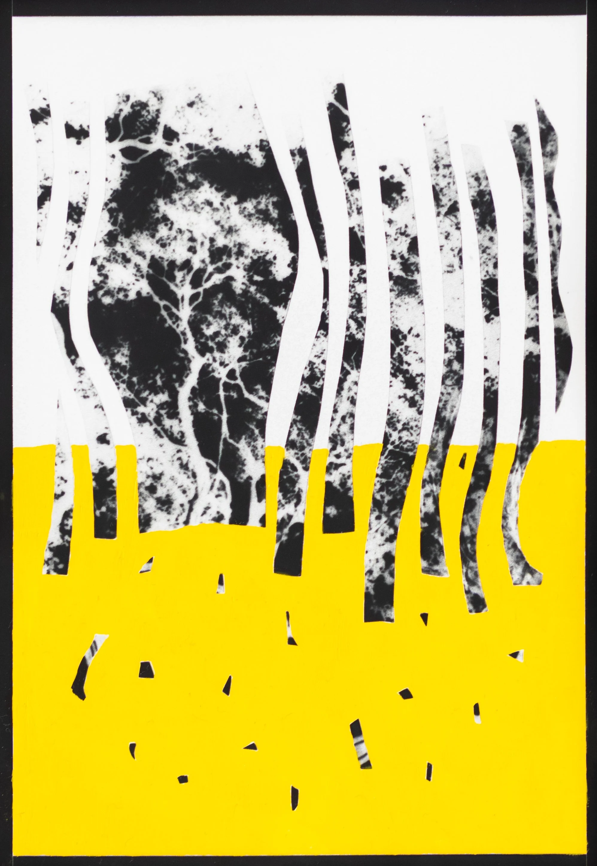 Origin no. 8
Gelatin silver print and photo oils on fiber paper
5" x 7"
2025