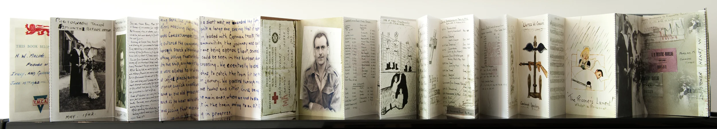 Henry Malone's Artist Book 2011