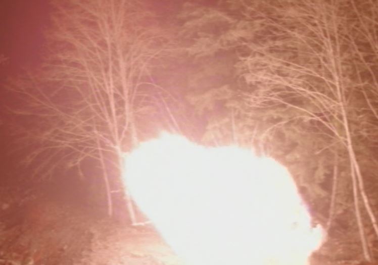 So this is how it ends. In fire. Also, there's a dinosaur in this picture.