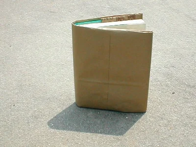 If this was on Facebook it would be followed with a message like "Like this if you remember using brown paper bag covers" and some thinly veiled snide shot at the current generation. (photo from specialchildren.about.com )