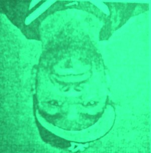 Cover albums are like money in the bank, you see. Thus, green. Trust me, this kills here in the States.