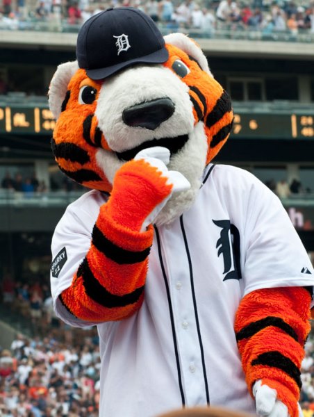 Yep. A tiger. (photosbynanci.com)