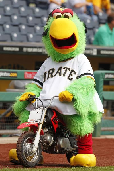 You better be wearing a helmet, you damn bird. (pinterest.com)