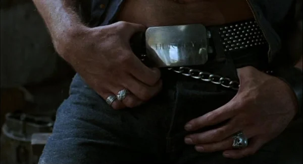 The sex as threat thing is subtle but you can pick up on it if you pay close attention. (thefilmexperience.net)