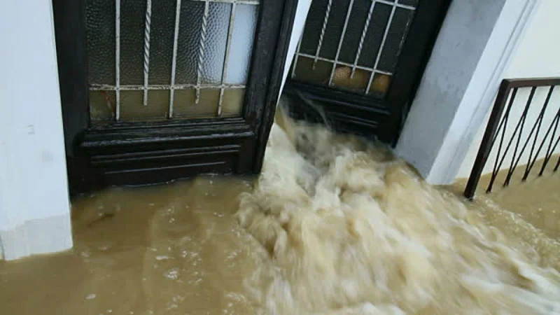 Jan 6 Swimming in the Flood.jpg