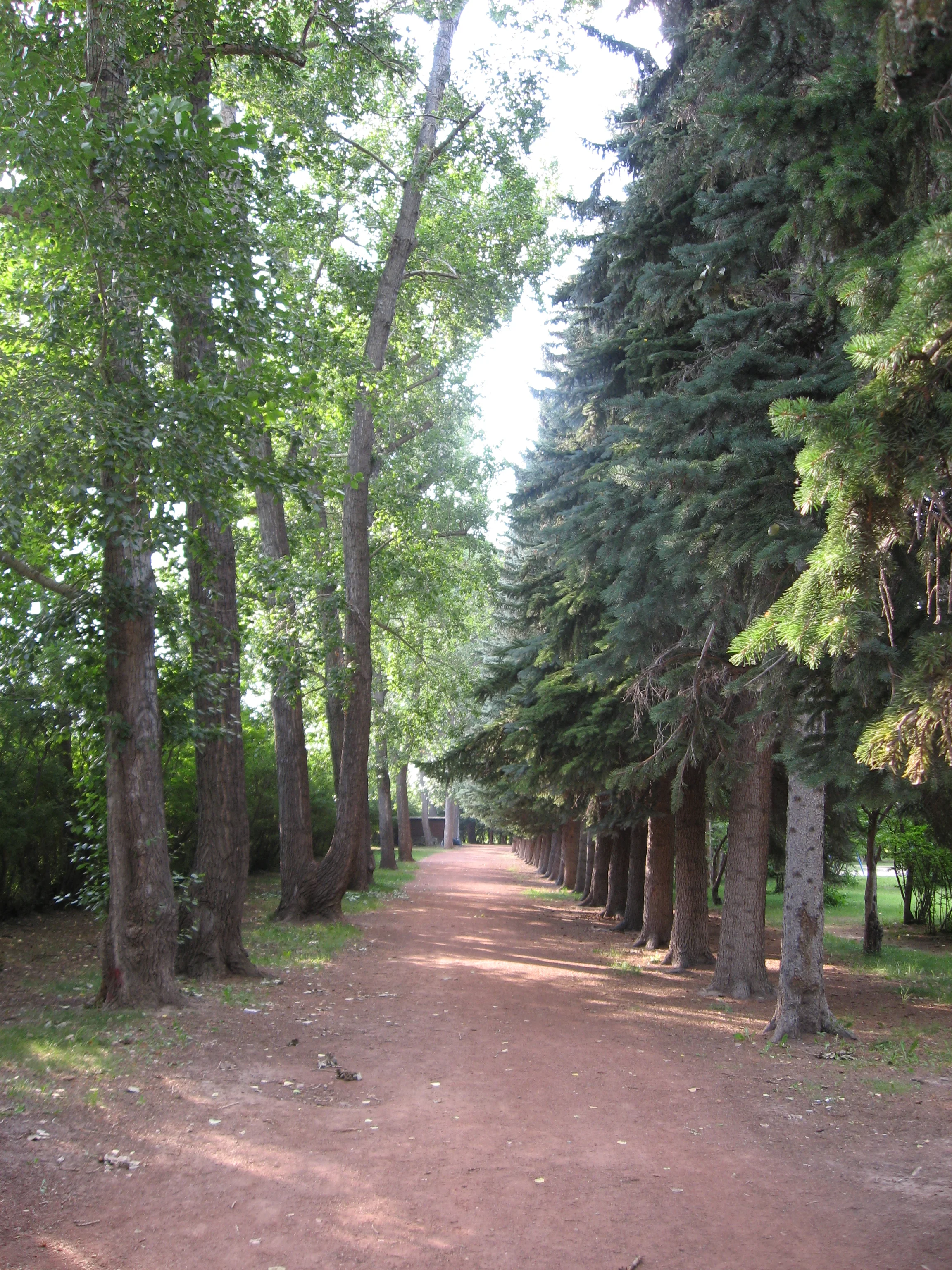 Pathway to the Douglas Fir Trail in Edworthy Park just west of downtown. This is the furthest east the Douglas Fir trees grow.