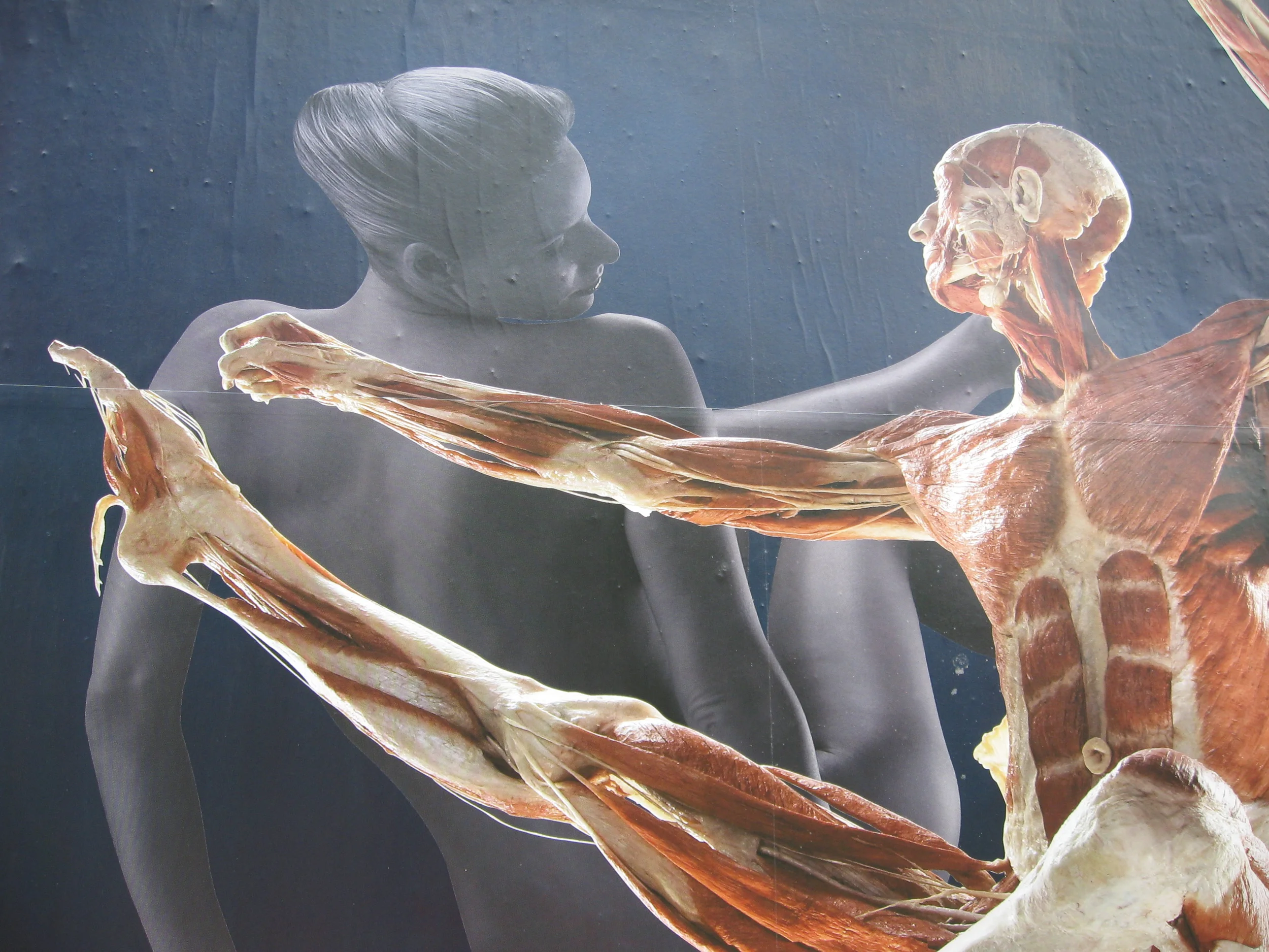 Titled "Ballet" I can't remember what this poster was advertising, but the juxtaposition of the two bodies one with and one without flesh was haunting. Like all good art their is strong tension between the two antagonists. Also, like all good art it asks a questions - Is beauty truly skin deep. 