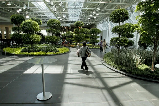The Devonian Gardens (DG) were first created in 1977, but recently were redesign to become a more formal garden. DG is attached to The Core shopping centre and also includes a full children's playground and Koi ponds that are loved by children. It is an oasis in the middle of the downtown. 
