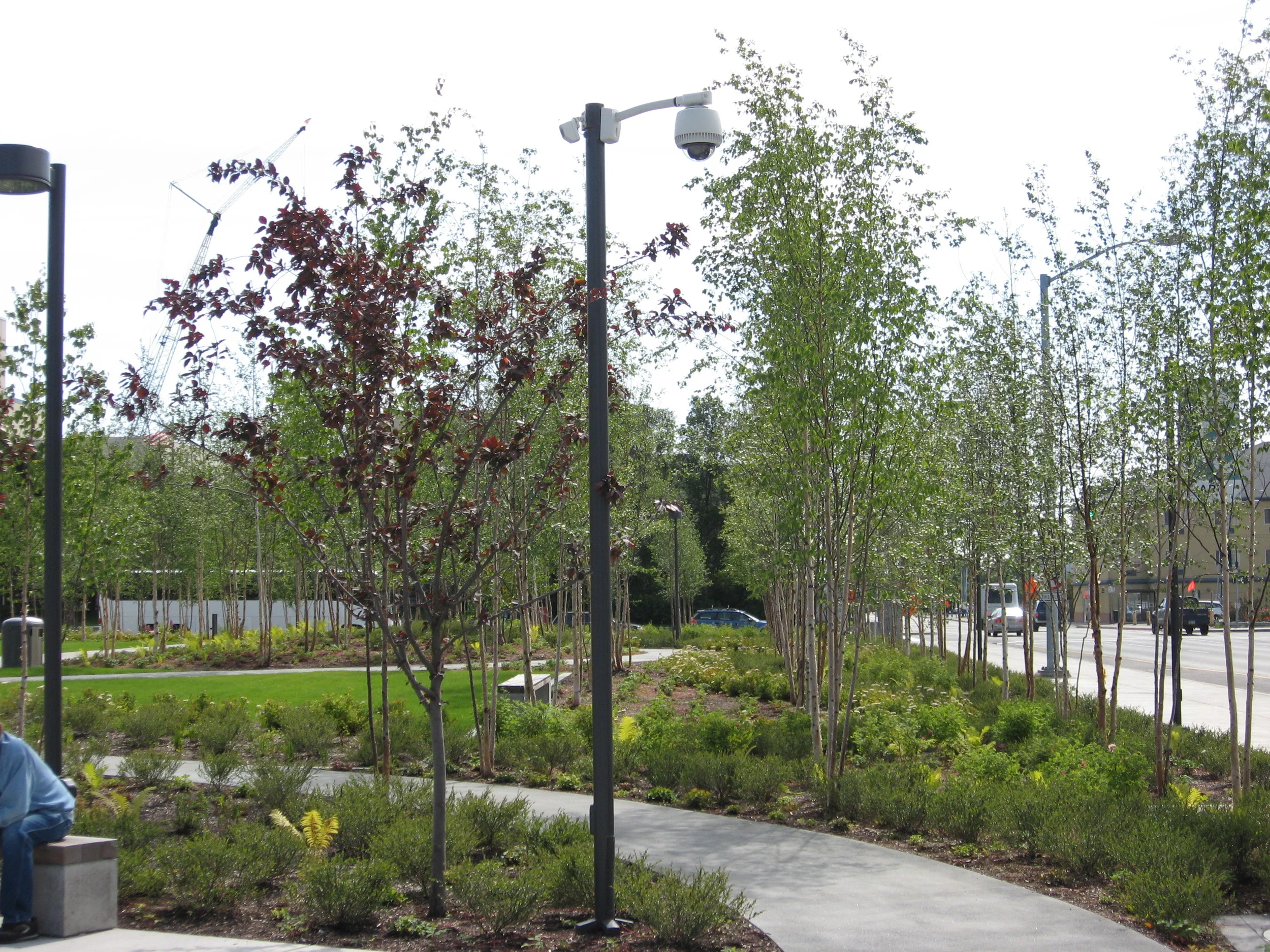 This is the front lawn or garden of the Anchorage Museum that creates an inviting entrance and is a clever link between the man-made museum and nature. 