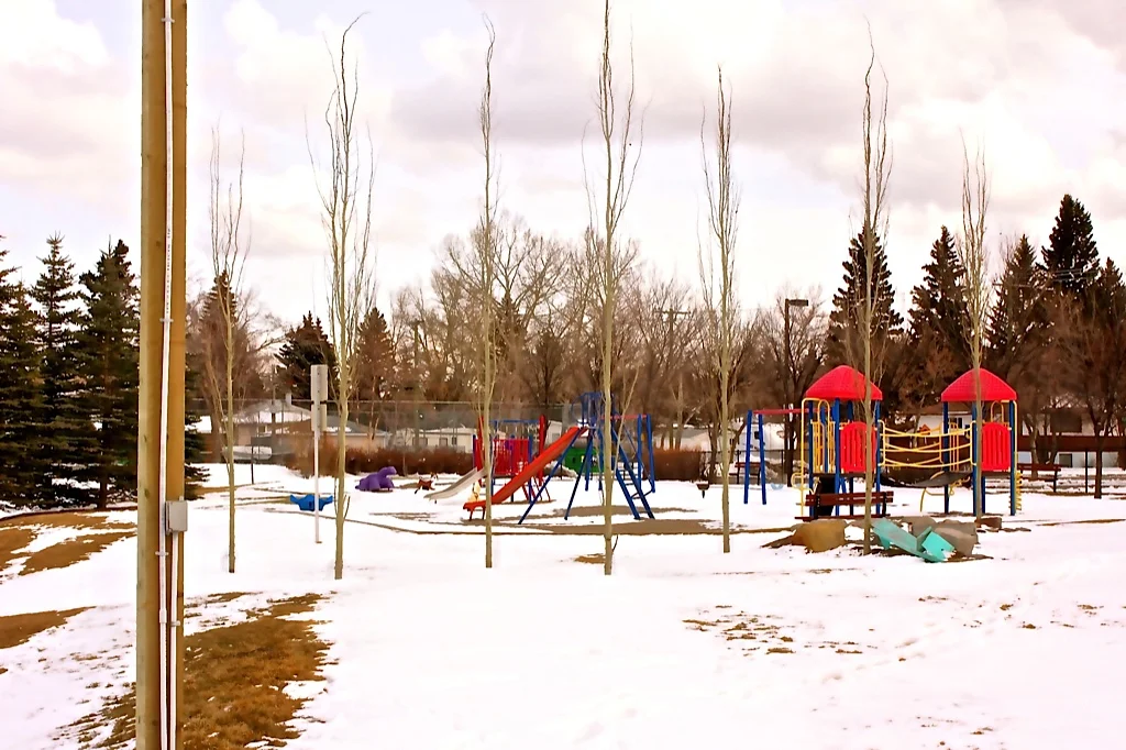 Speaking of playgrounds, Killarney has them seemingly on every second block. 