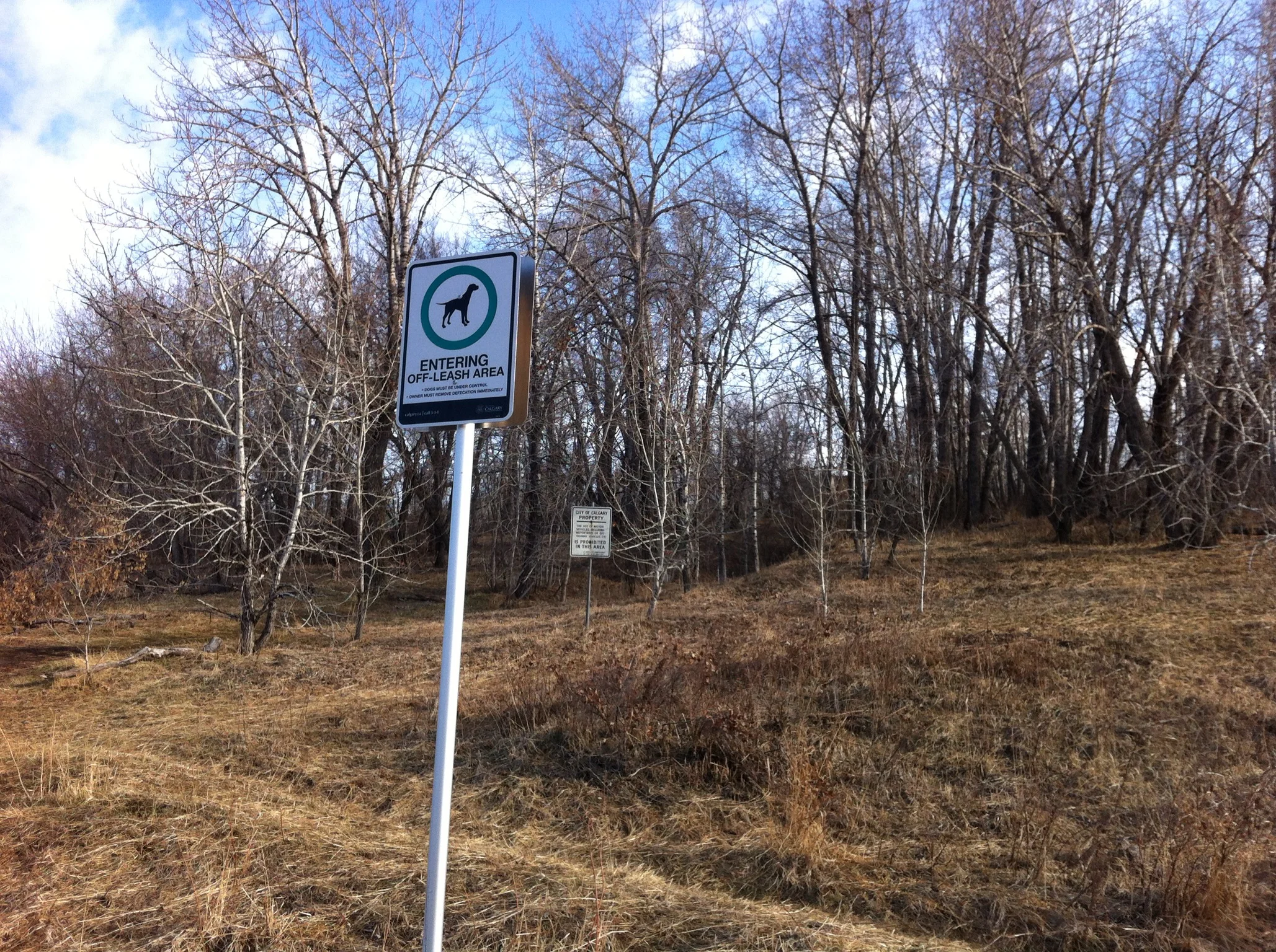 Entrance to Parkdale dog park which is along the bluff on the north side of the Bow River. This bluff facing south provides a sunny warm place to walk your dog year-round. It has small aspen woods, grasslands and lots of trails. At the top is a spectacular view of the river valley and the downtown skyline. These are significant parks - this one is about 2 kilometres long. 