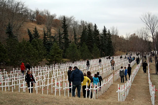 Remembrance Day crosses on the Memorial Drive lawn.