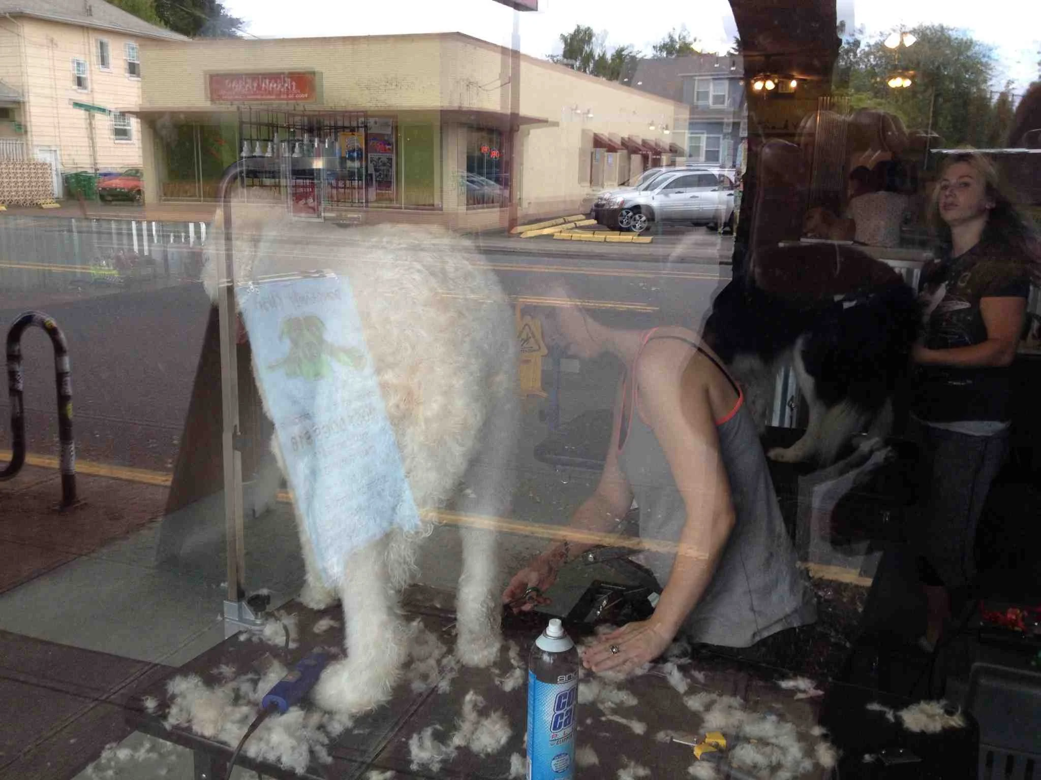 Hawthorne Boulevard is a an amazing street of over 15 blocks of vintage clothing, mid-century modern furniture, the world's most upscale Goodwill thrift store, Powell's Annex and quirky shops. At first I thought this was a sheep shearing shop, but then realized it was a dog. Maybe Portland is weirder than I first thought. 