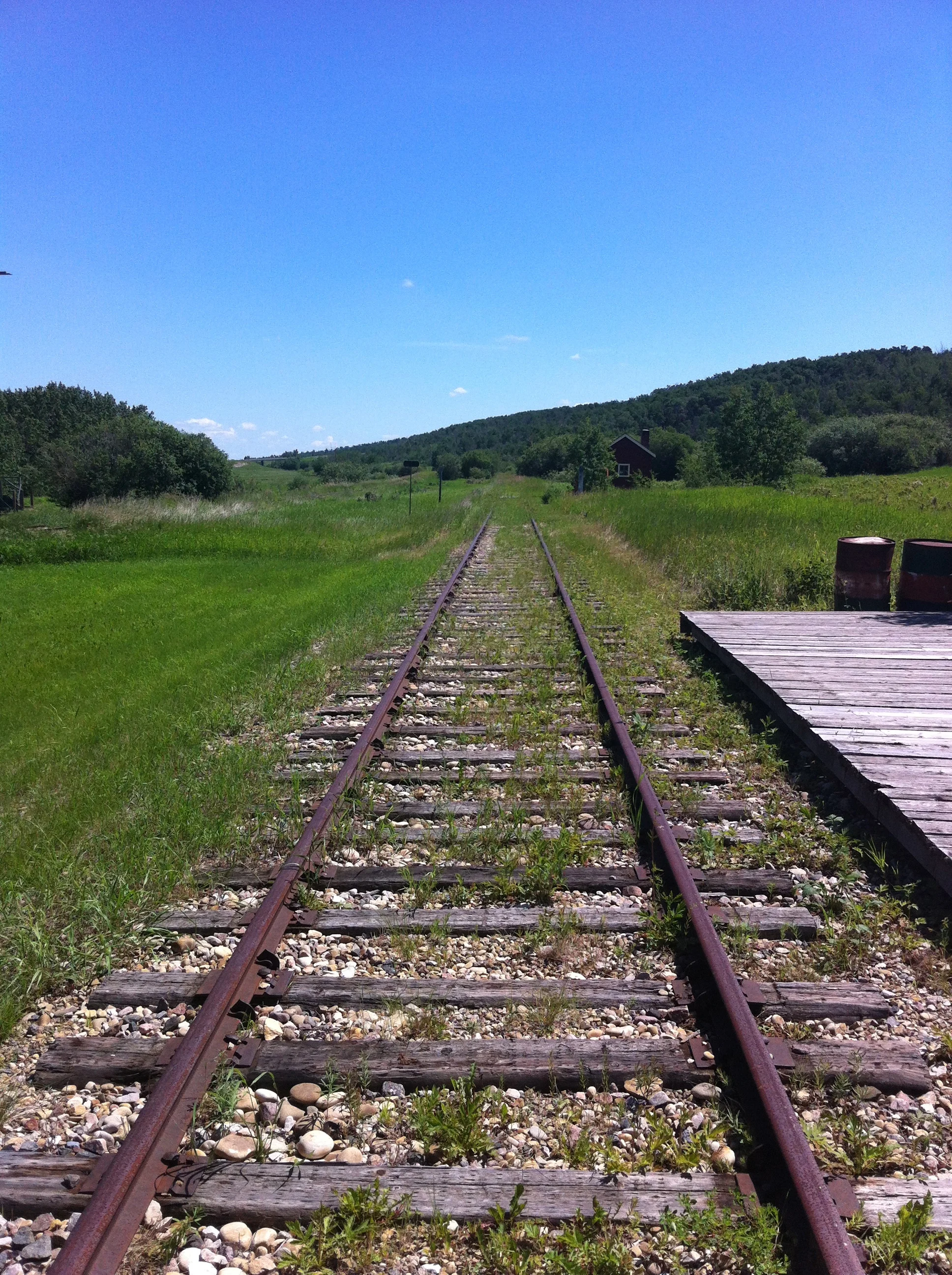 The train track disappears into the grassland in both directions. 