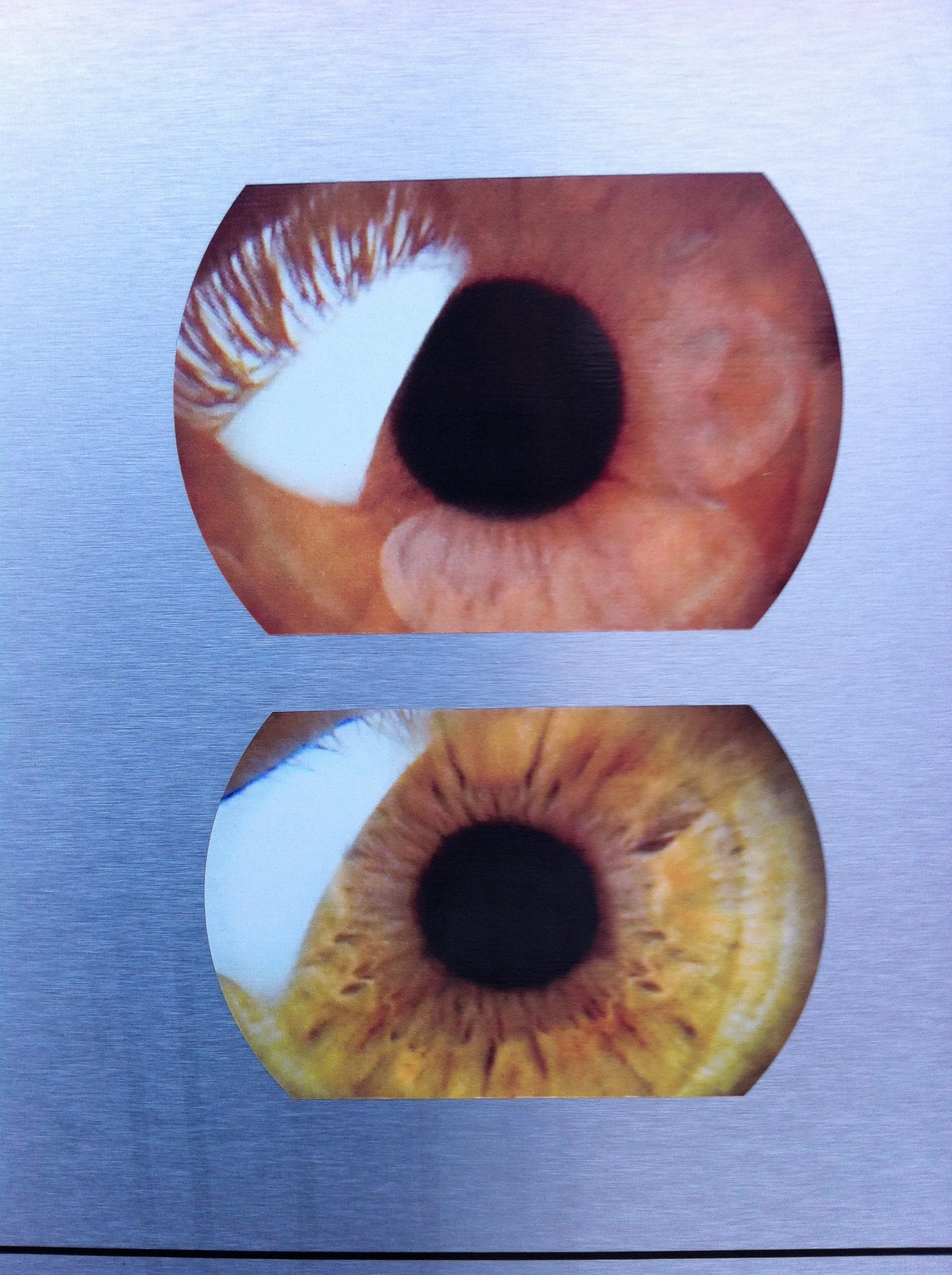Found these eyes staring at me as I headed into Mikey's just a few days ago.