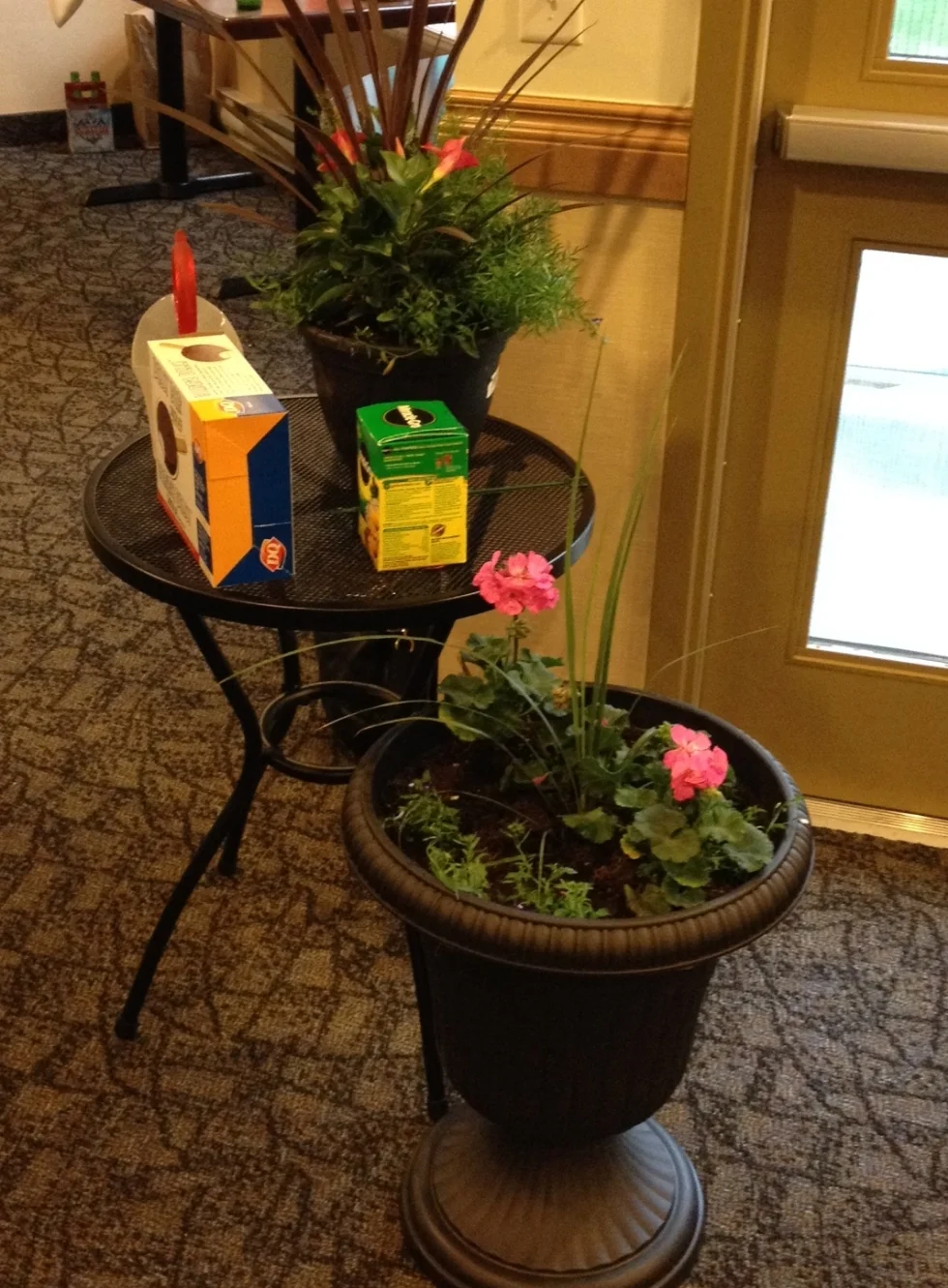 TADA! A patio fun extravaganza! plants...pot(s)...table..dilly bars...fertilizer..watering can.