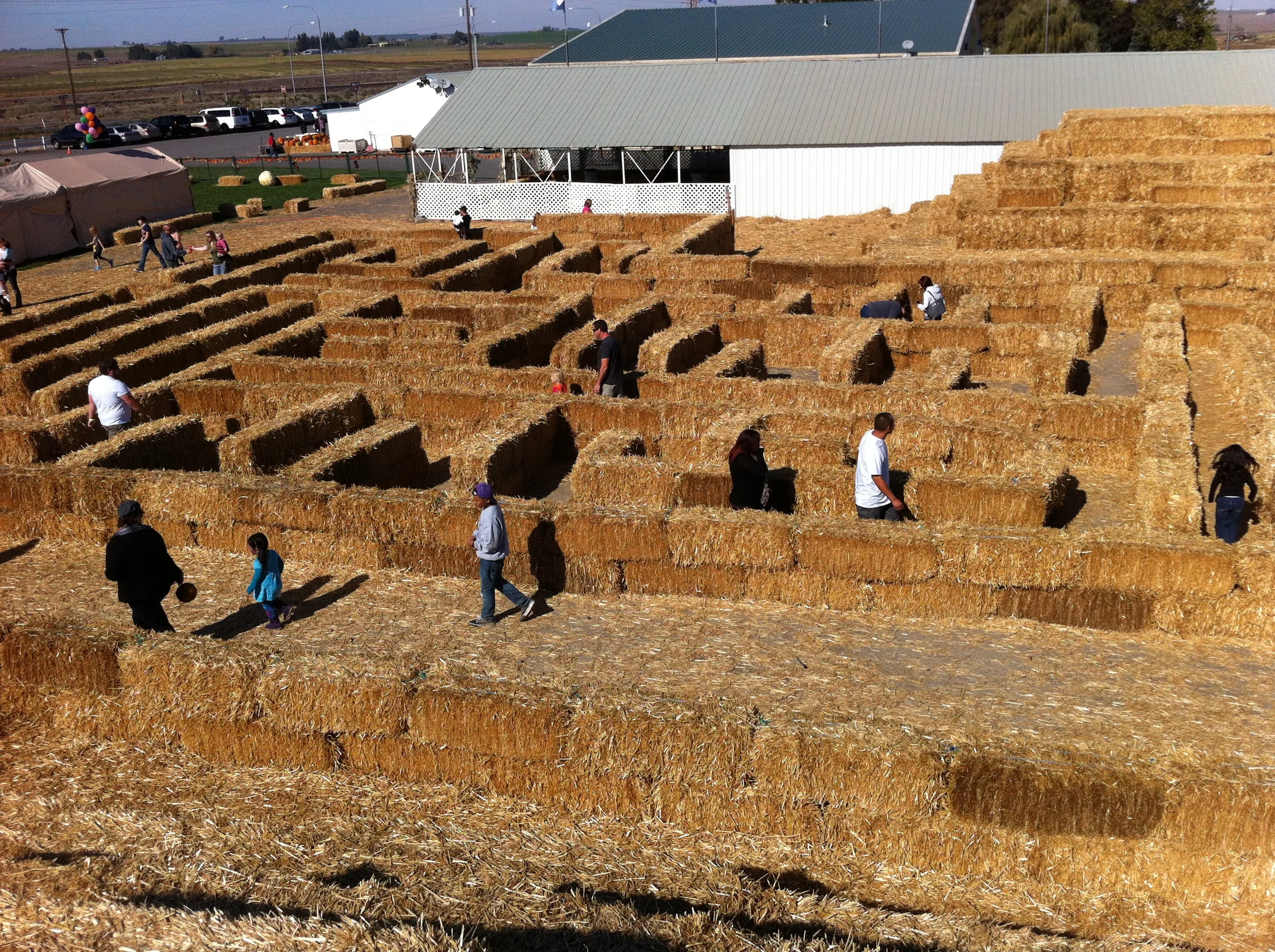 Hay bale maze