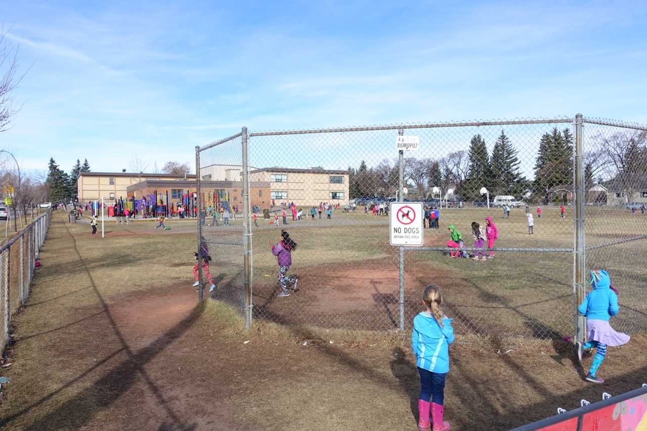 Westmount Charter Elementary School makes Parkdale a very attractive place for young families to live. From Parkdale you can walk or cycle to to downtown, University of Calgary, Foothills Medical Centre and Alberta Children's Hospital. 