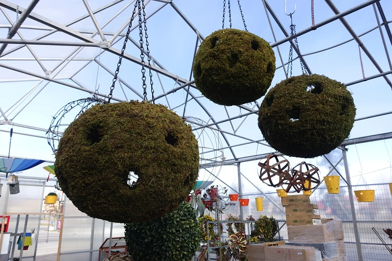 Mount Pleasant & Calgary's Other 4th Street — Everyday Tourist