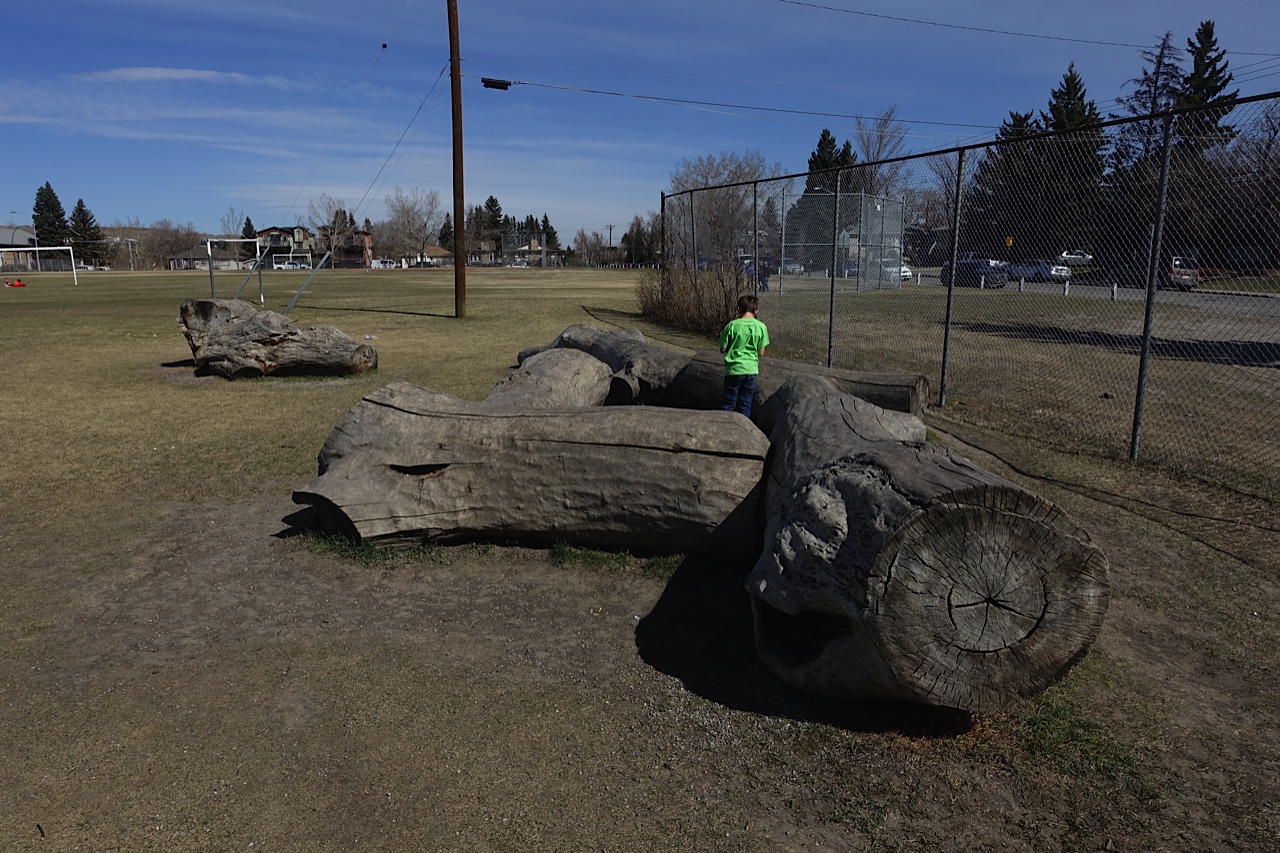 Mount Pleasant & Calgary's Other 4th Street — Everyday Tourist