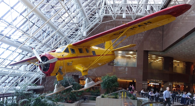 You never know what you might find wandering the world's longest elevated indoor walkway in Downtown Calgary. 