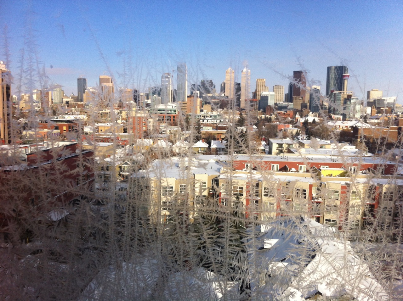 View from the Brekke's tree house of the downtown skyline on a cold winter day.