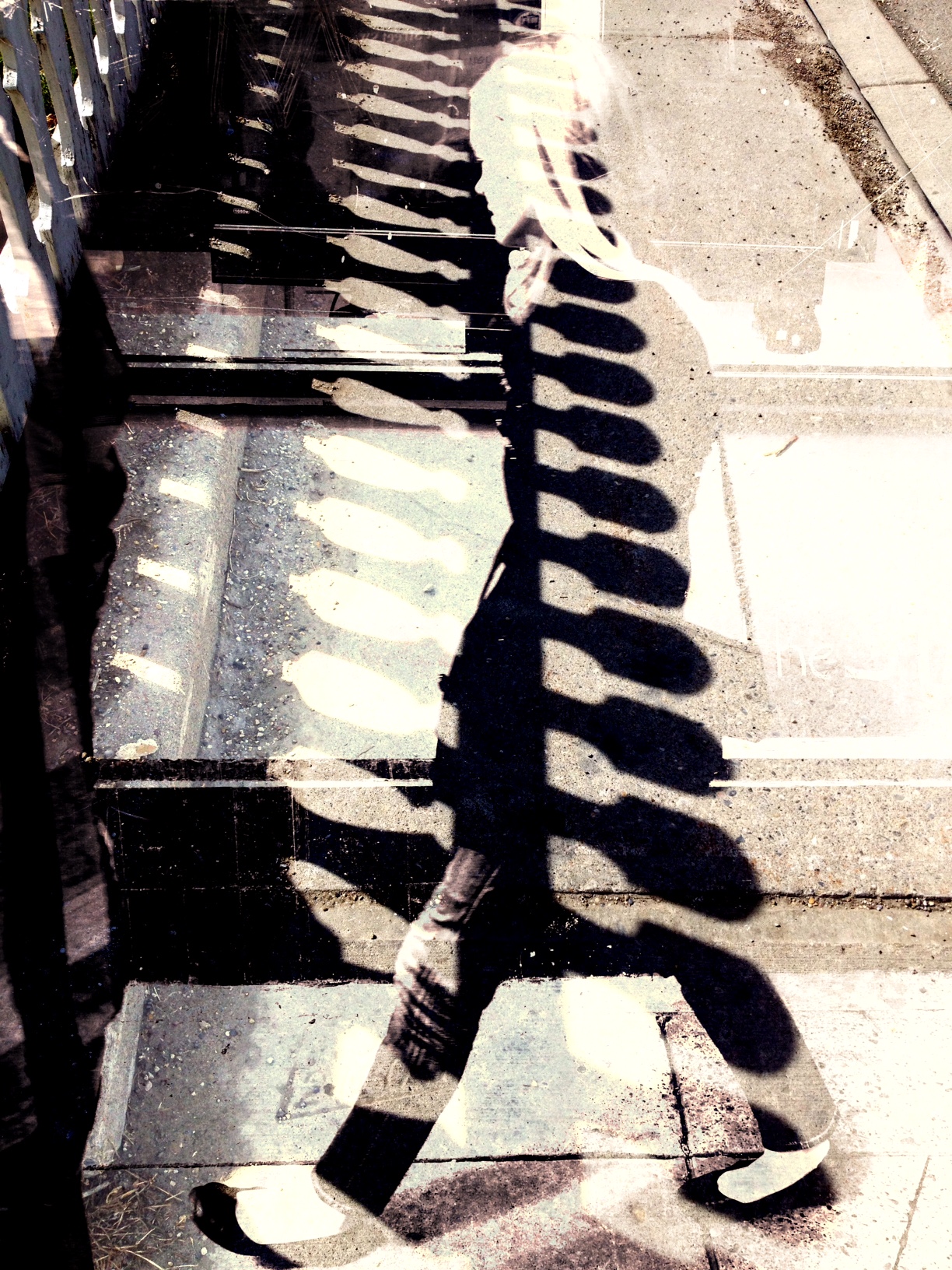 Shadow, Calgary