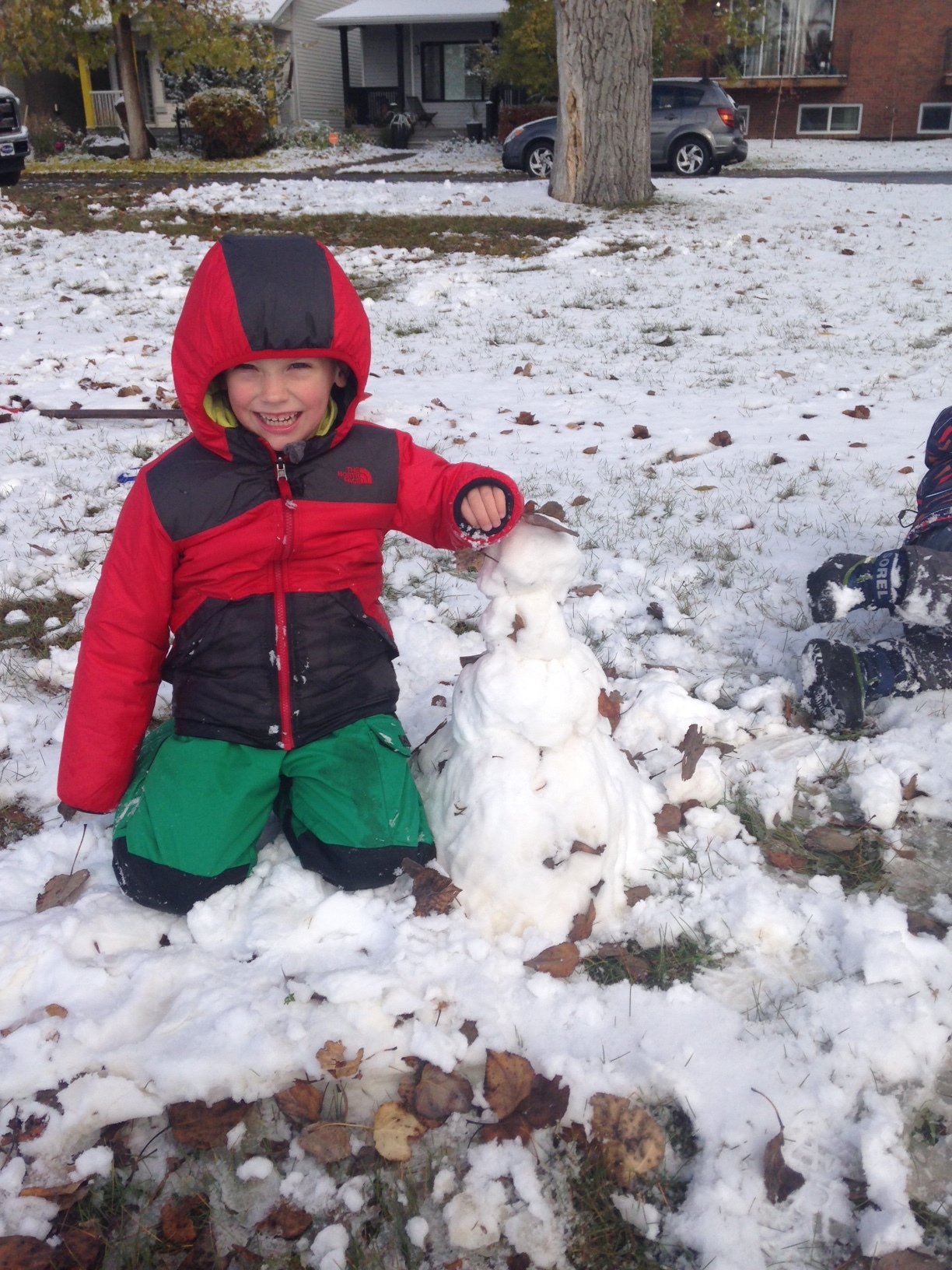 The kids decided they wanted to build a snowman on their own and this is the result.