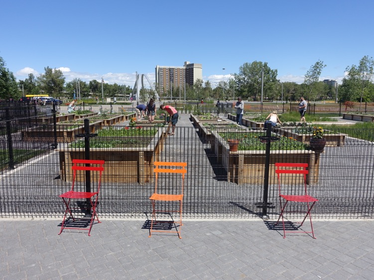 East Village's community garden was a popular meeting spot for newcomers to East Village this summer, helping to foster a sense of community.
