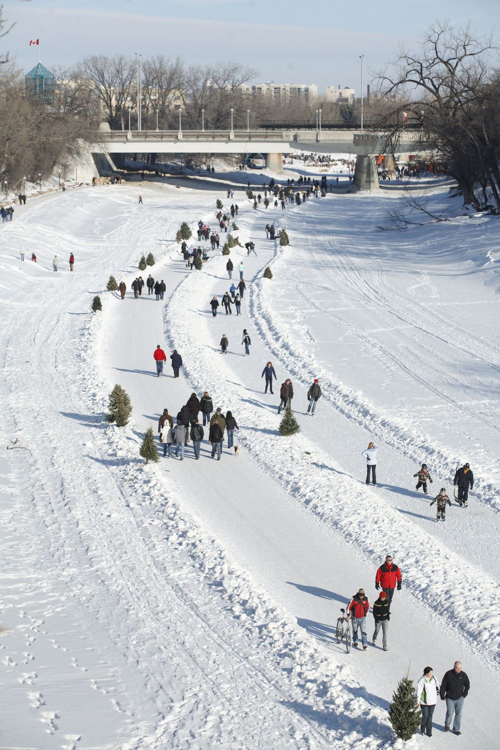 Winnipeg's ice skating trails