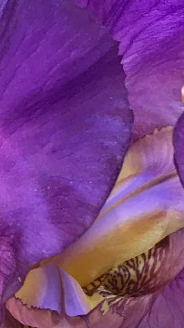 Emerging