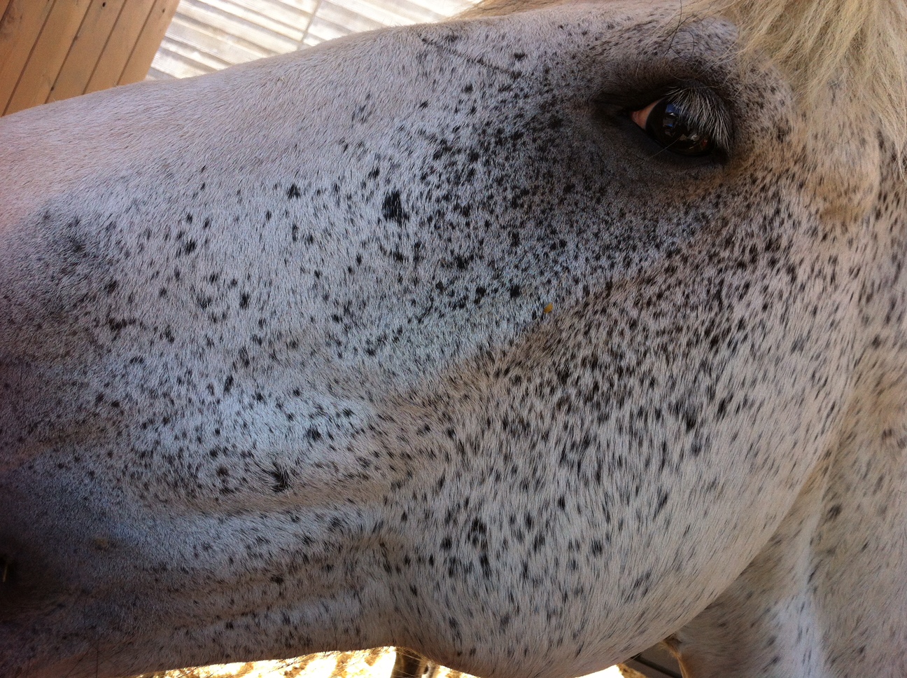You can get up close and personal with the animals.