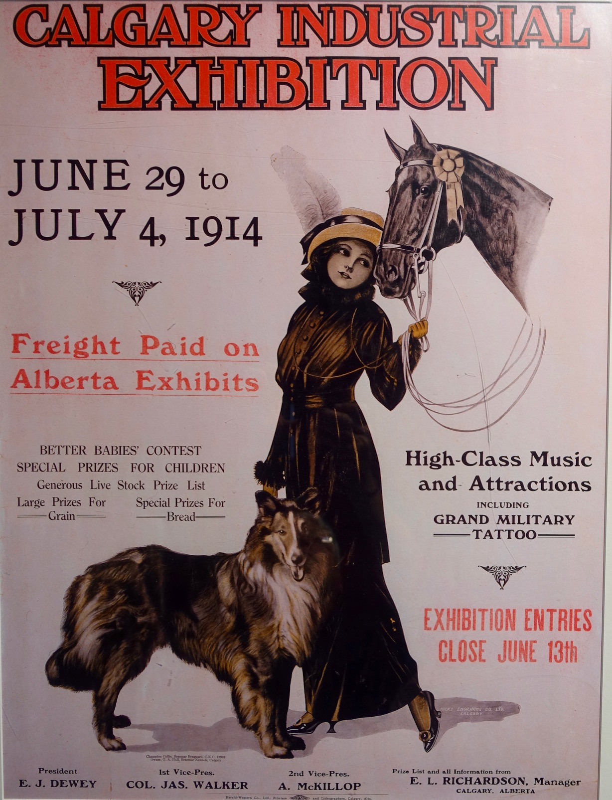 There is a rare history lesson in the parade of posters (100+) along the elevated concourse (+15) from the LRT Station to Saddledome. It is fun to look at how the Stampede has evolved over the years and the famous people who have performed. Link: Flaneuring Calgary's Stampede Poster Parade