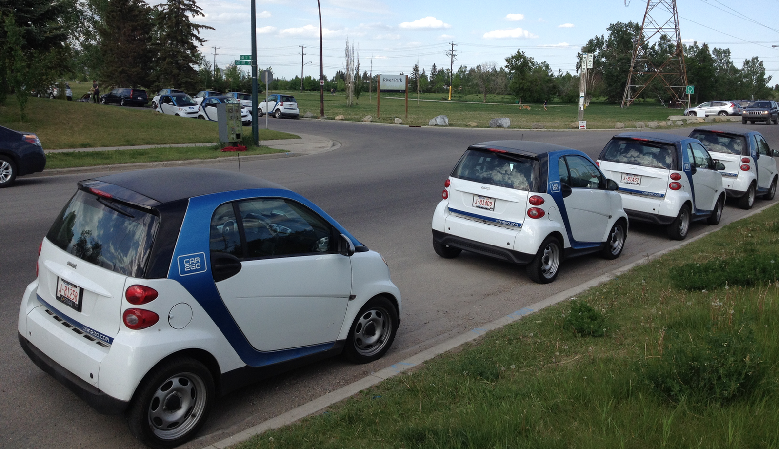 How many Car2Go can you count? I believe all of them were taking their dog to River Park, one of Calgary's best dog parks. 