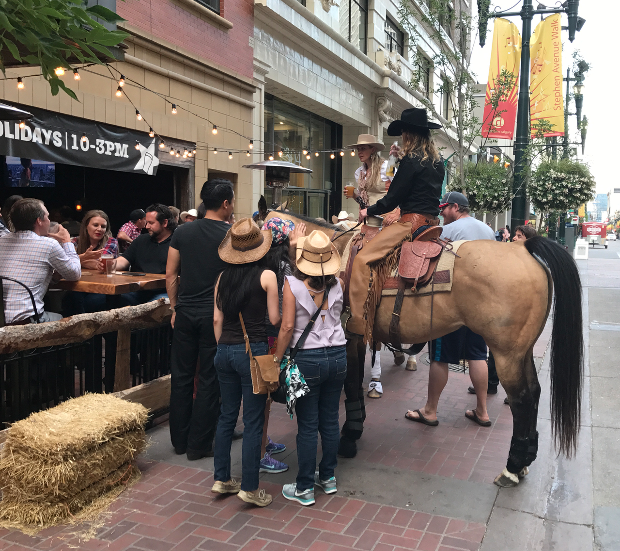 Calgarians love to horse-around on Stephen Avenue. 