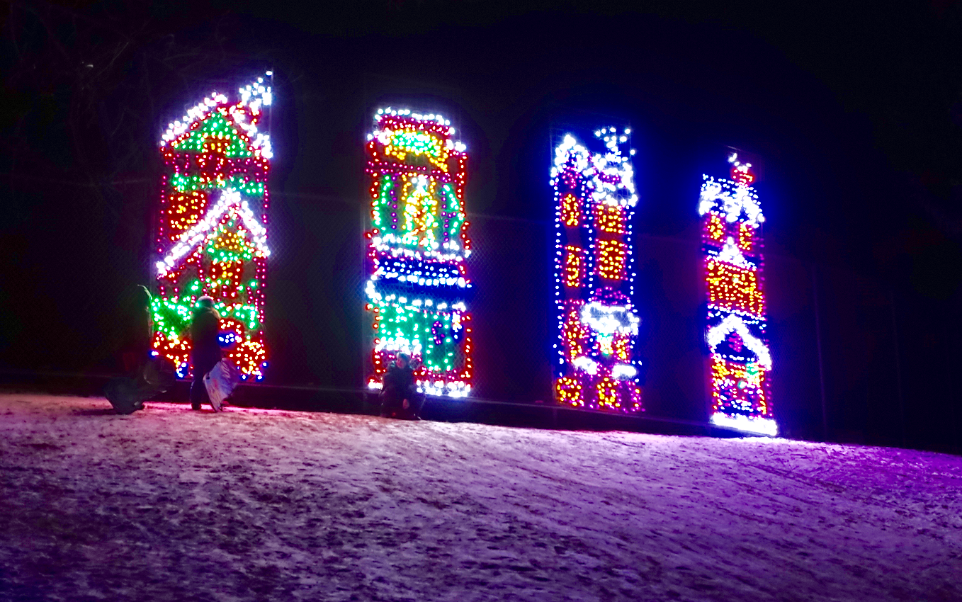 Tobogganers having fun at Lion's Festival of Lights