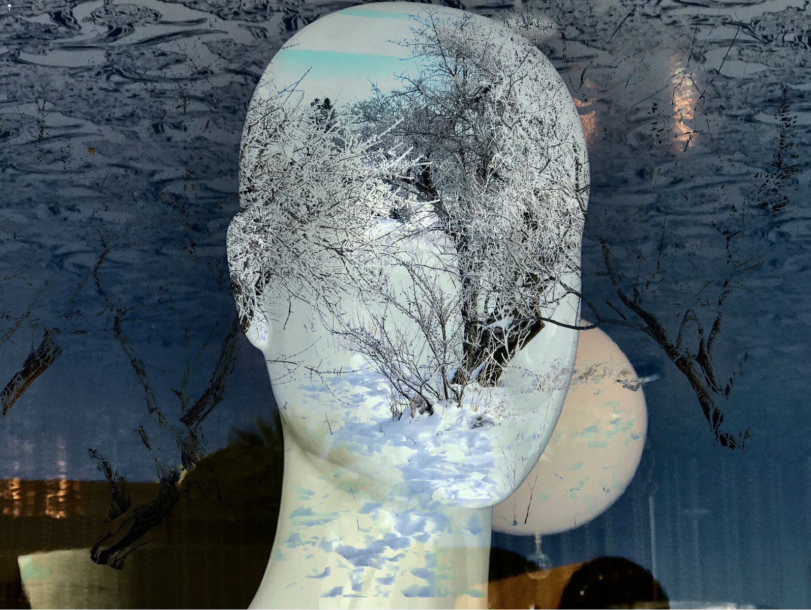 Winter Thoughts, Calgary/Palm Springs