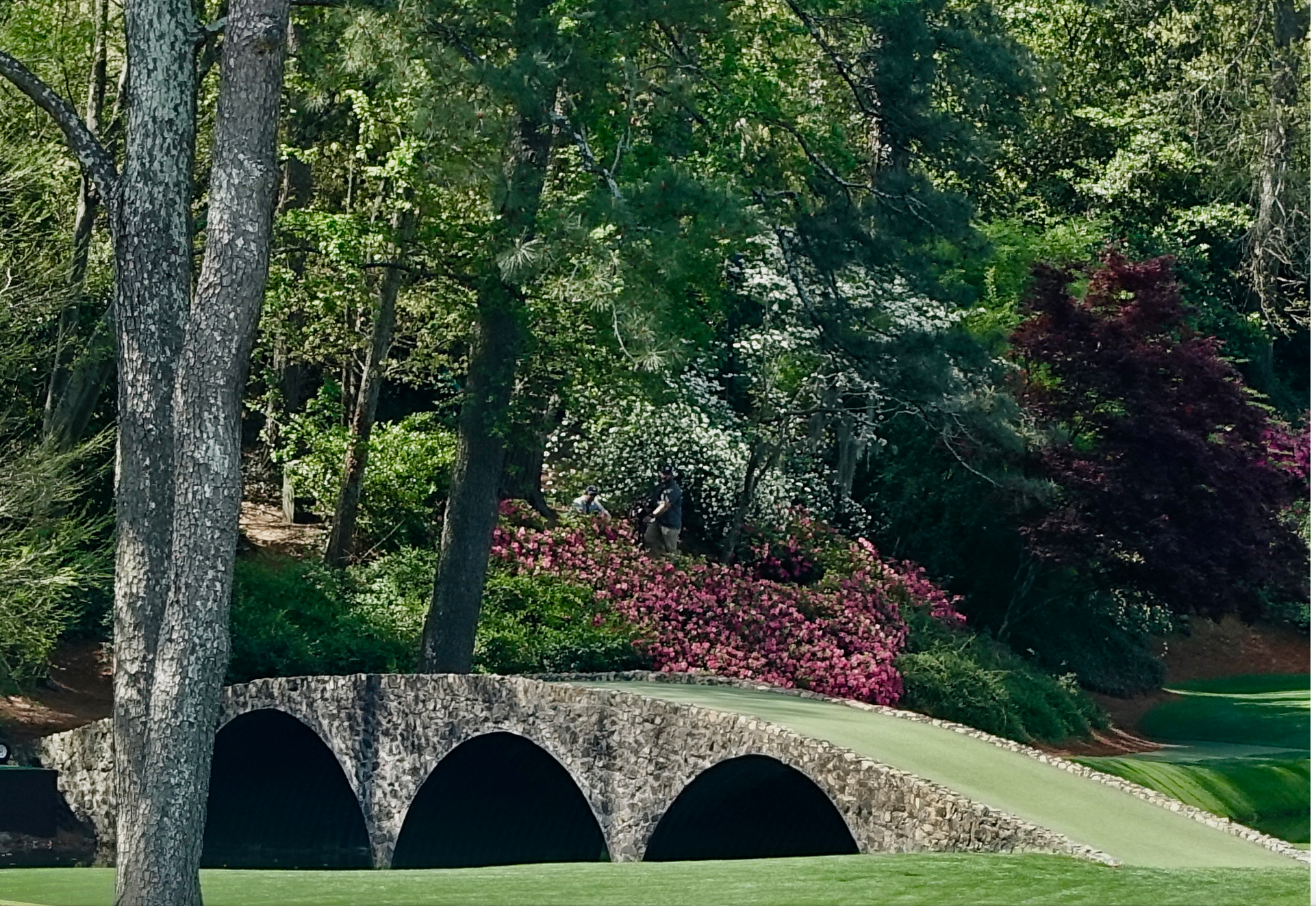 Augusta National is drop dead gorgeous. 
