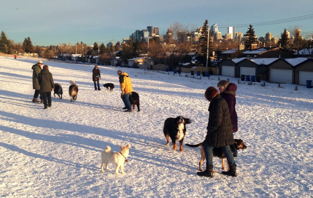 Our dog park is busy year-round. It offers great views of the downtown skyline.