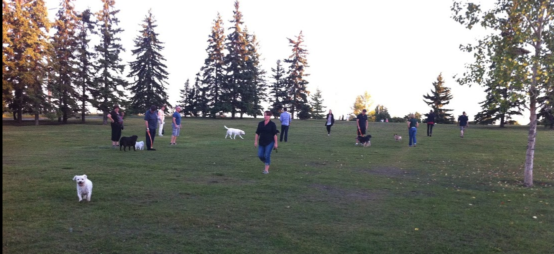 River Park in the summer is a busy place from sunrise to sunset. 