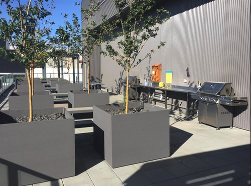 N3 condo's roof top offers amazing views of the downtown and sunsets while you cook up dinner on the BBQ. 