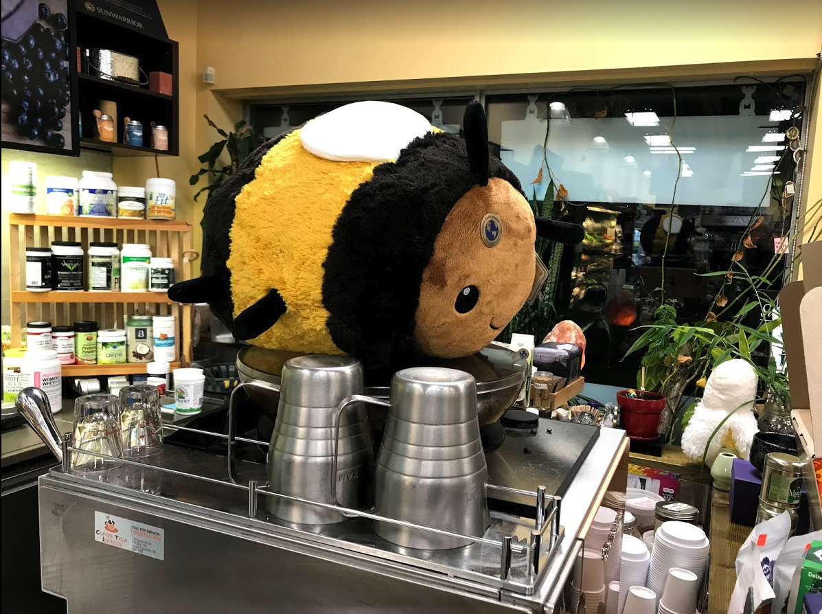 Quinpool’s Organic Earth Market has large stuffies hanging out in strange places throughout the store. Very cool.