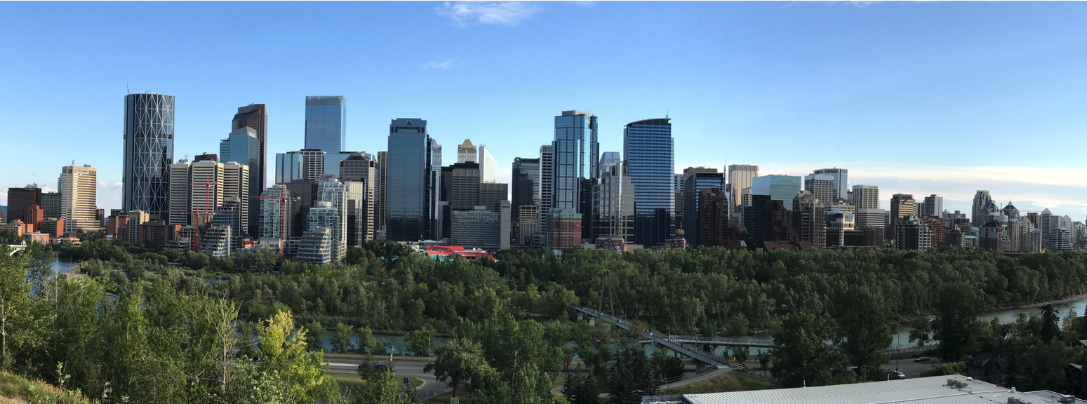 Does this look like a downtown with no green spaces?