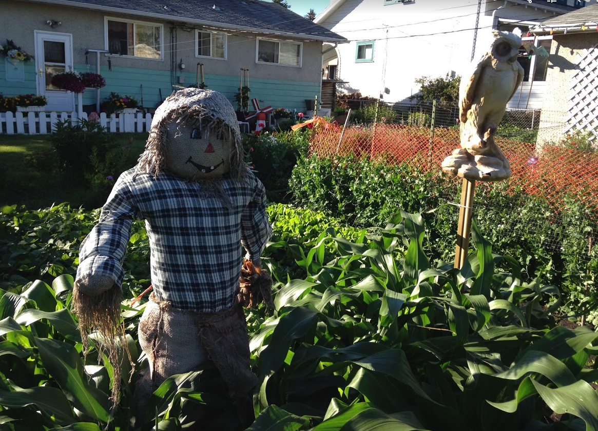 Or it could be puttering in your backyard garden.