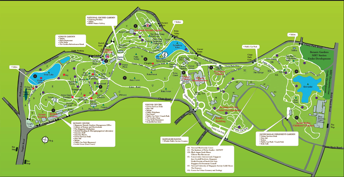 Singapore Botanical Gardens a 300-acre oasis.