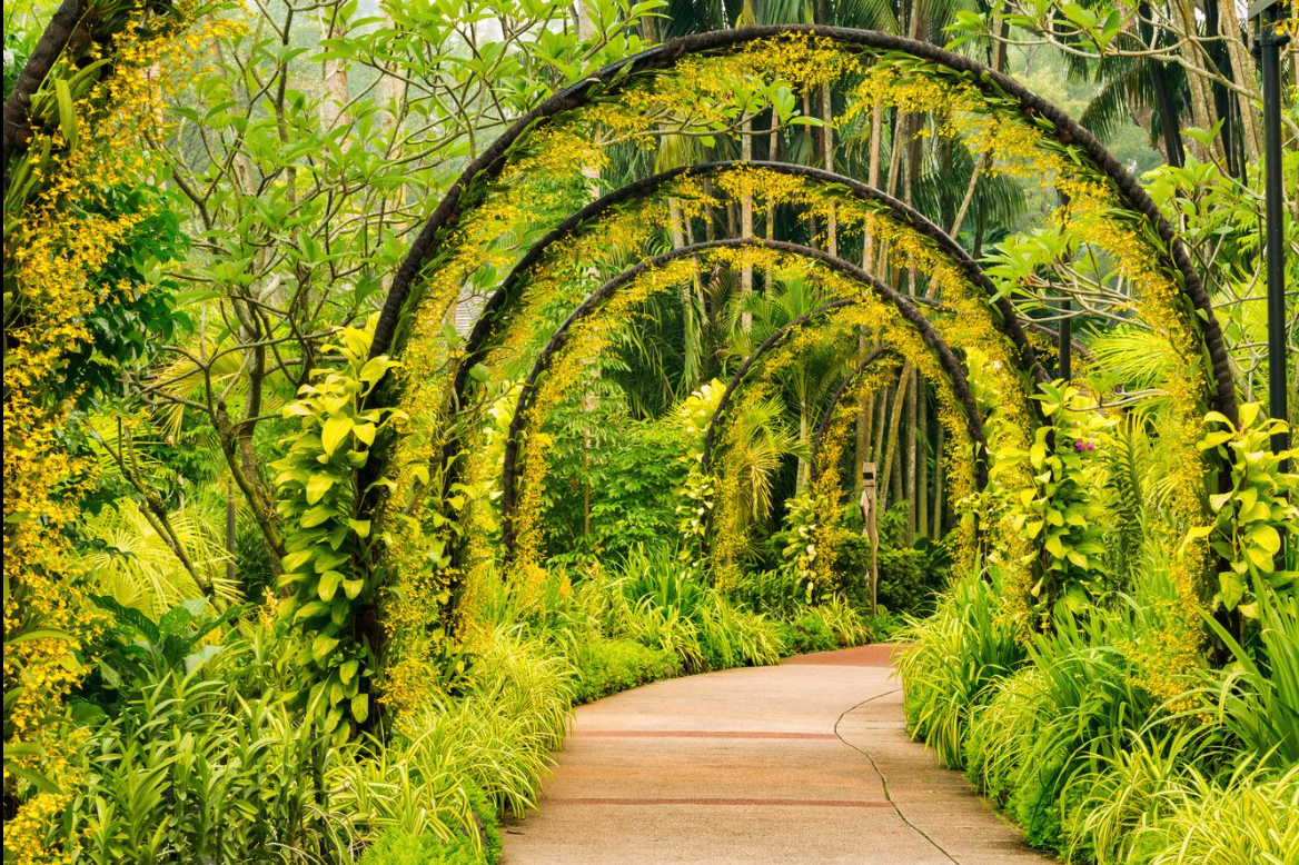 The outdoor Orchid Garden was one of the highlights of Hiller’s visit to Singapore.