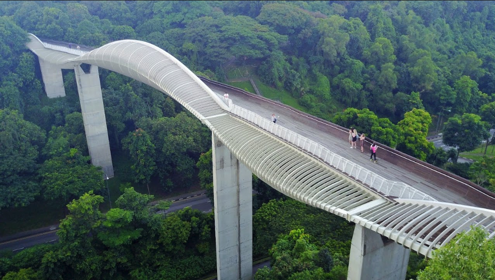 The Henderson Wave bridge is a unique experience.